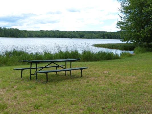 Eau-Pleine-PIcnic