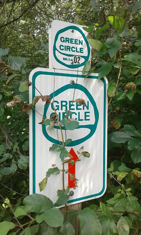 Green-Circle-Trail-2